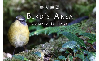 鳥人專區