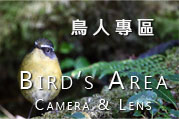 鳥人專區